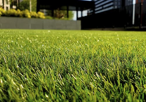 all purpose fertilizer