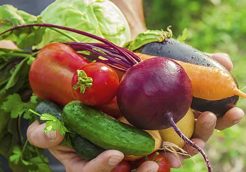 fertilizer for vegetables