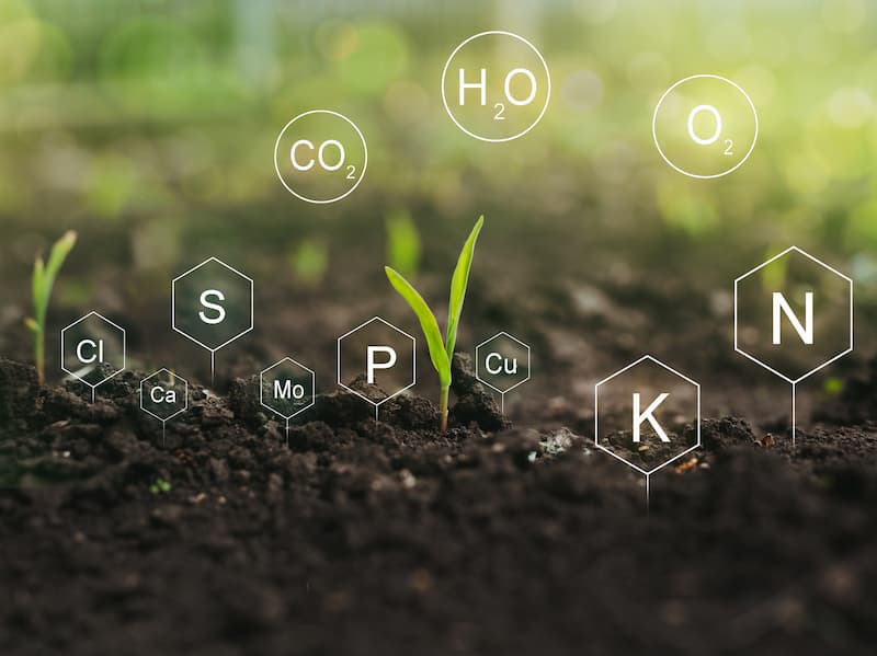 fertilizer nutrients release