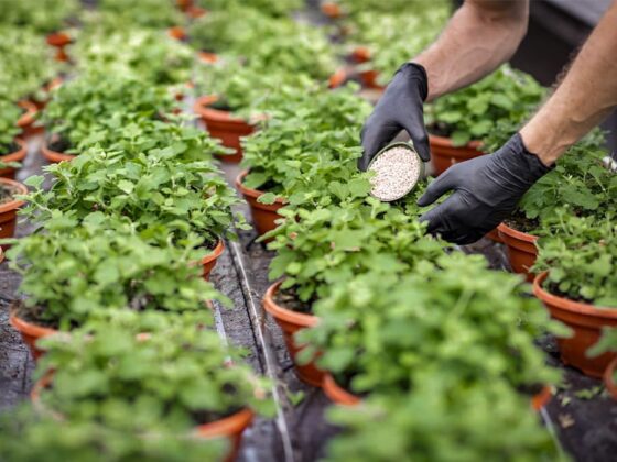 npk fertilizer explained