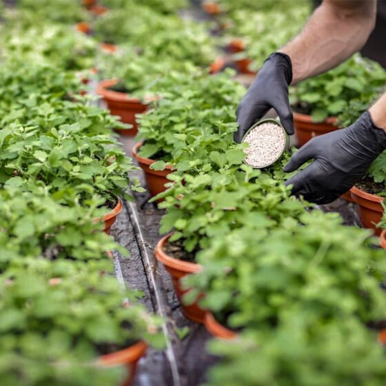 npk fertilizer explained