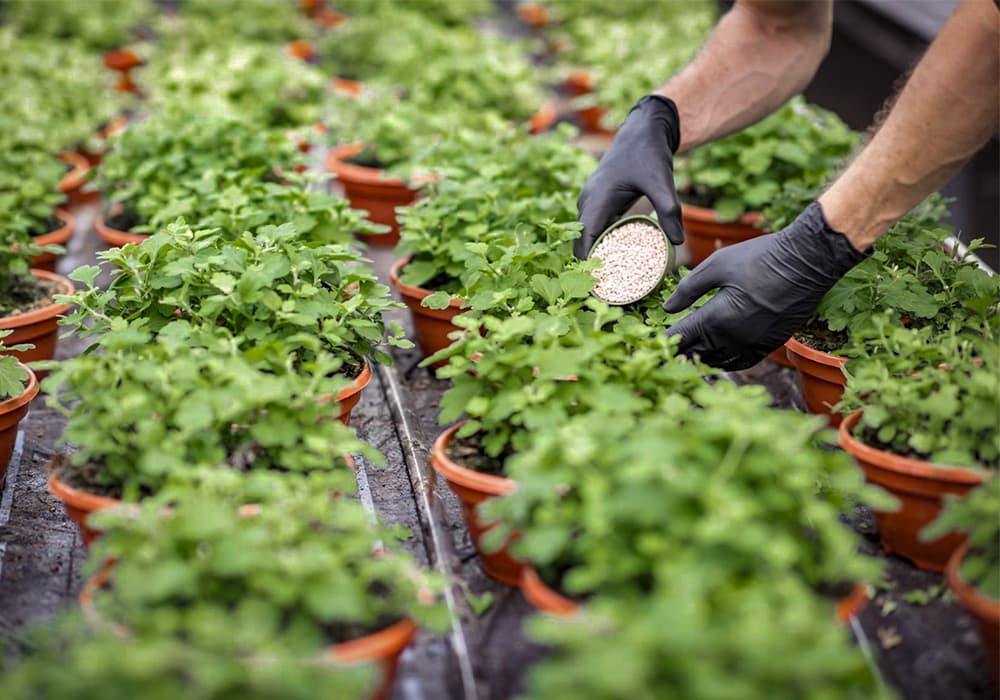 npk fertilizer explained