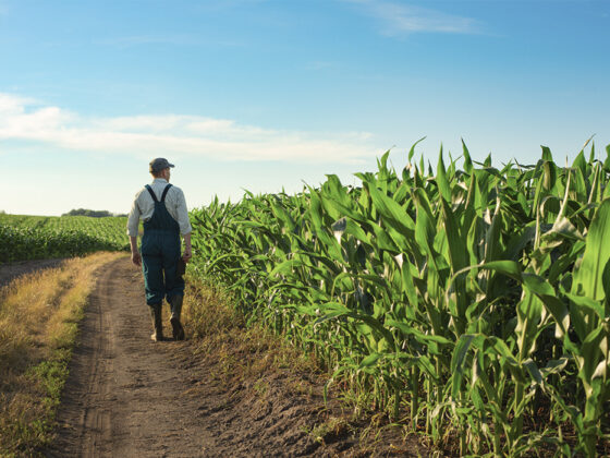 how to choose fertilizer supplier