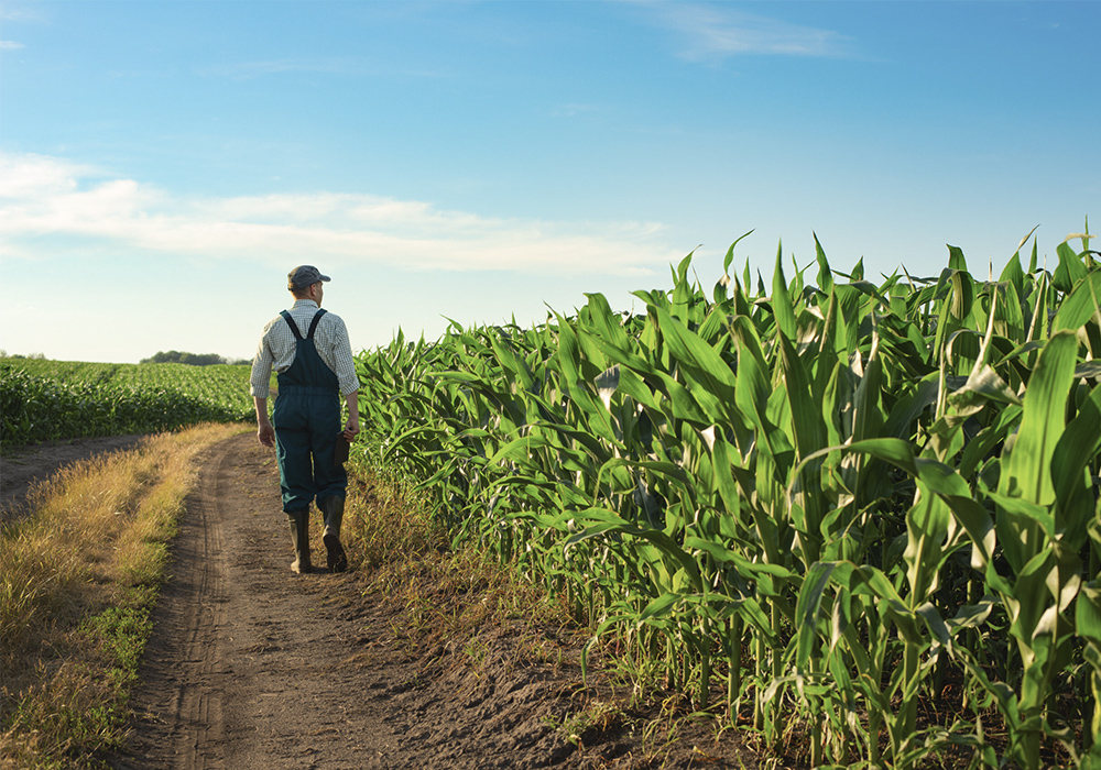 how to choose fertilizer supplier