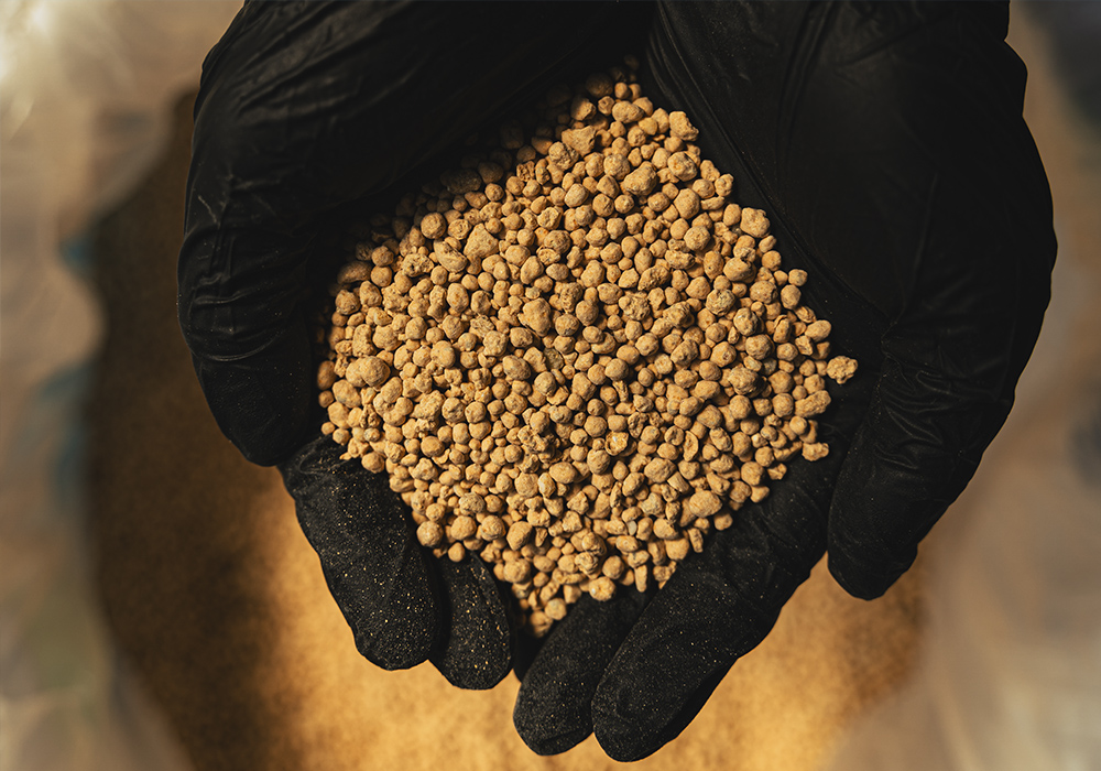 npk-fertilizer-granules