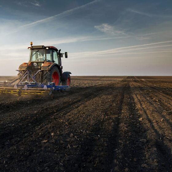 fast vs slow release fertilizer