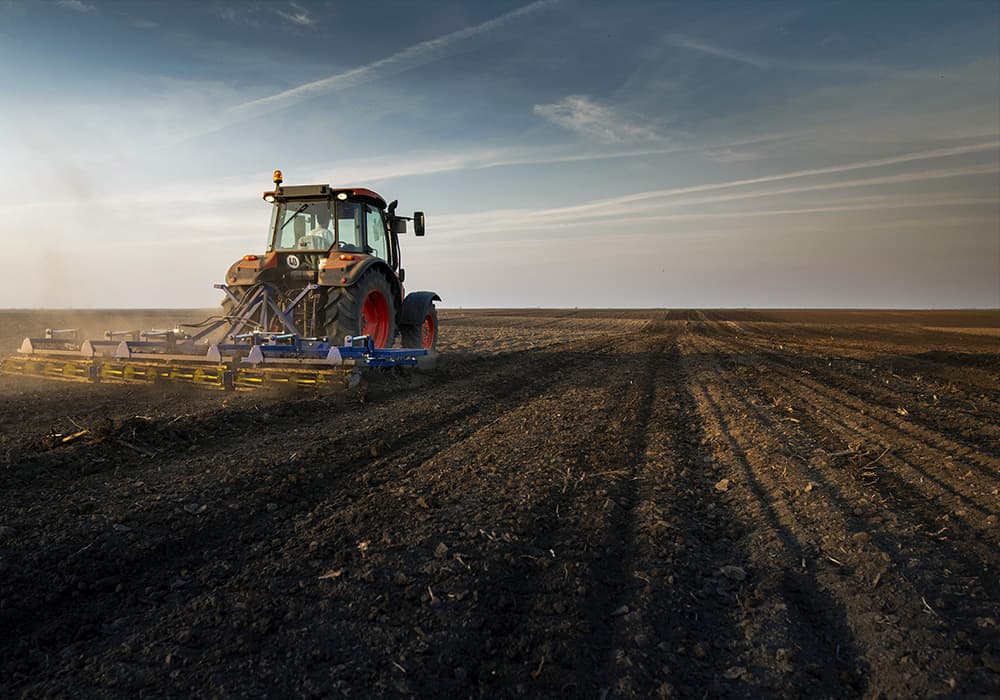 fast vs slow release fertilizer